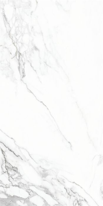 WHITE POLISHED REC 60x120